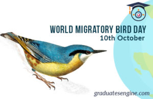 World-Migratory-Bird-Day